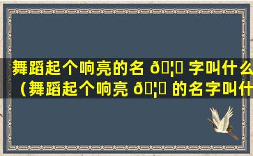 舞蹈起个响亮的名 🦋 字叫什么（舞蹈起个响亮 🦁 的名字叫什么好听）